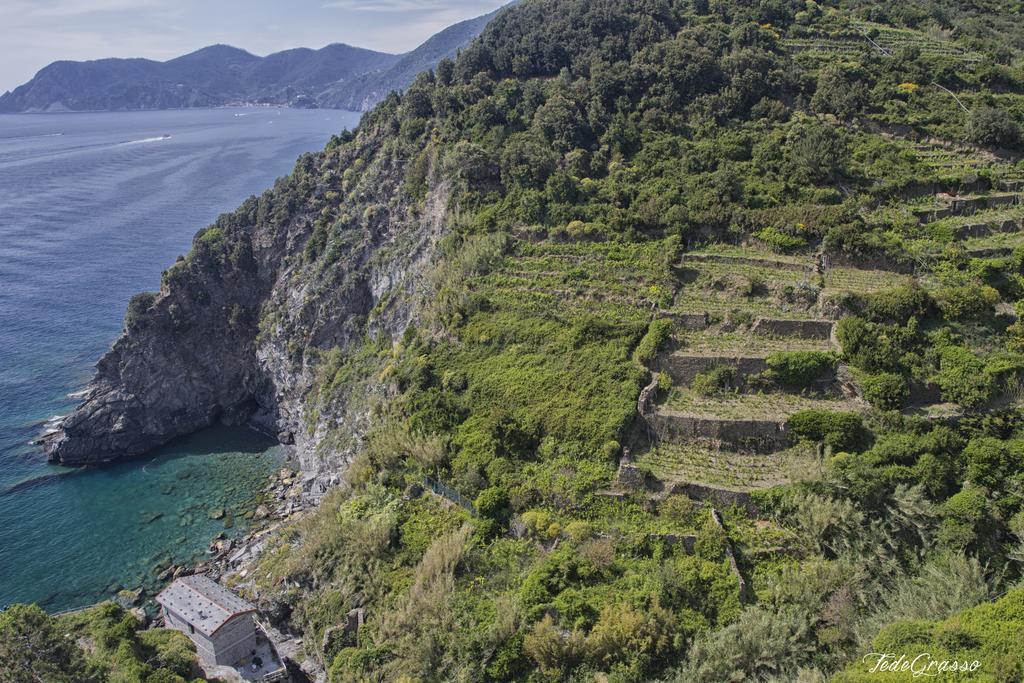 Apartamento Marina Di Corniglia Big Flat In 5 Terre Vernazza Exterior foto